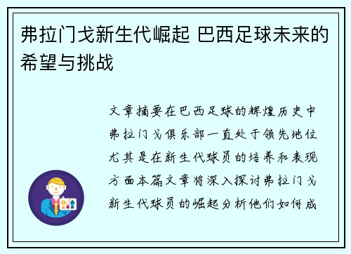 弗拉门戈新生代崛起 巴西足球未来的希望与挑战